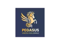 Lowongan Kerja PT Pegasus Sinergi Solusindo