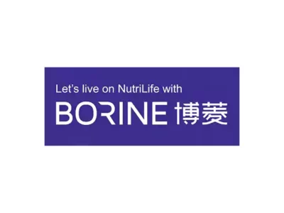 Lowongan Kerja PT Borine Technology Indonesia